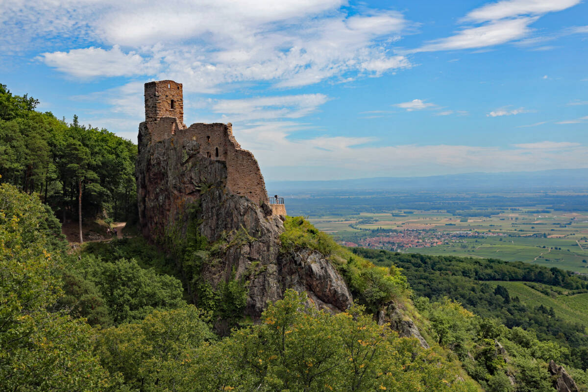 GIERSBERG | Le Giersberg Restaurant traditionnel Alsacien à Ribeauvillé Horbourg-Wihr